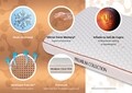 Perna Cool Copper Memory 40x60 cm