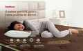 Saltea Dubai Dream Pocket